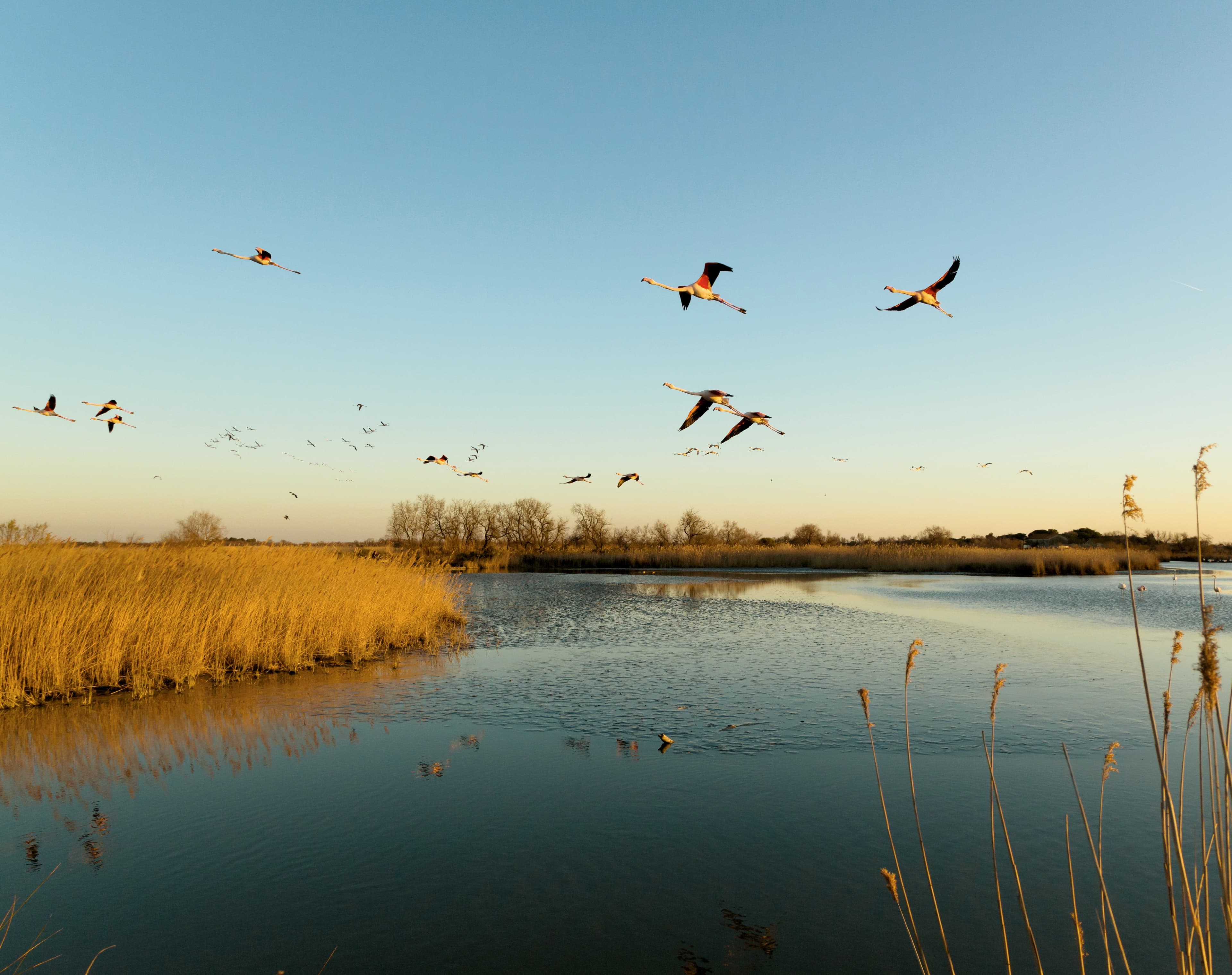 Production alimentaire